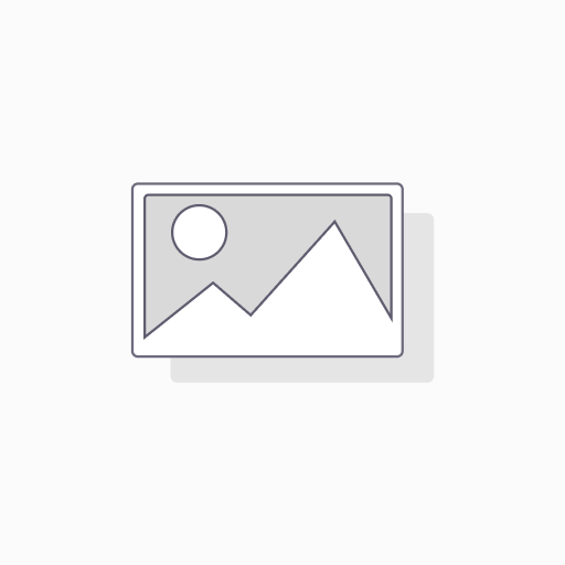 Haldiram Gobi Prantha  400 Gm