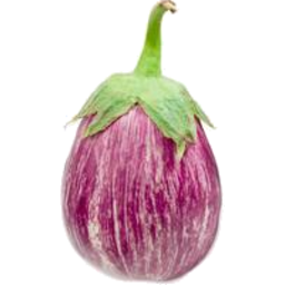 Eggplant Stripe 