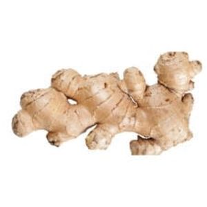 Ginger Fresh