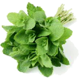 Mint Each