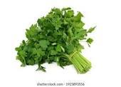 Parsley Leaves Bunch