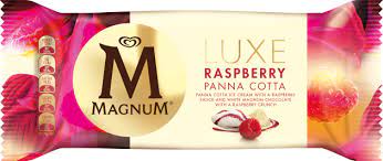 Magnum Raspberry Panna Cotta