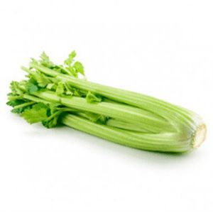 [310094] Celery/Bunch