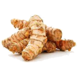[503505] Turmeric - Fresh 