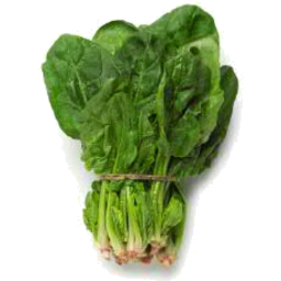 [503680] Spinach 